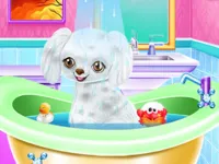 My New Poodle Friend