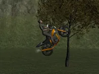 Mountain Bike Rider