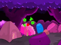 Calm Forest Escape